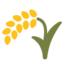 🌾 🌾