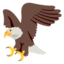 🦅 🦅