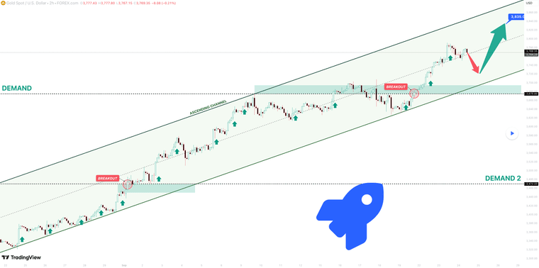 Знімок екрана 2025-09-24 о 13.12.27.png