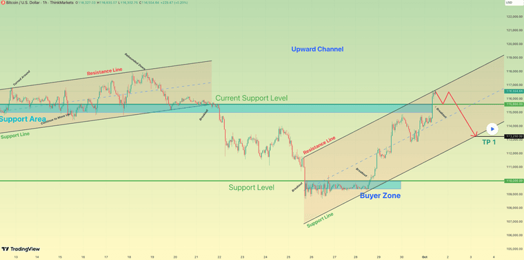 Знімок екрана 2025-10-01 о 17.36.48.png